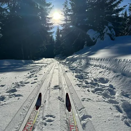 C 303 Lipno Port Lägenhet Lipno nad Vltavou