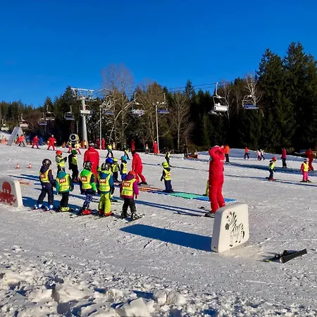 C 303 Lipno Port