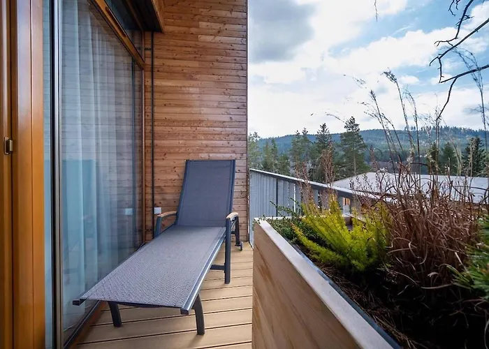 Apartment C 303 Lipno Port *