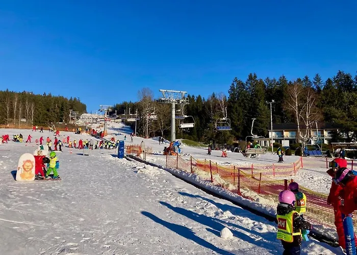 Apartment C 303 Lipno Port Lipno nad Vltavou