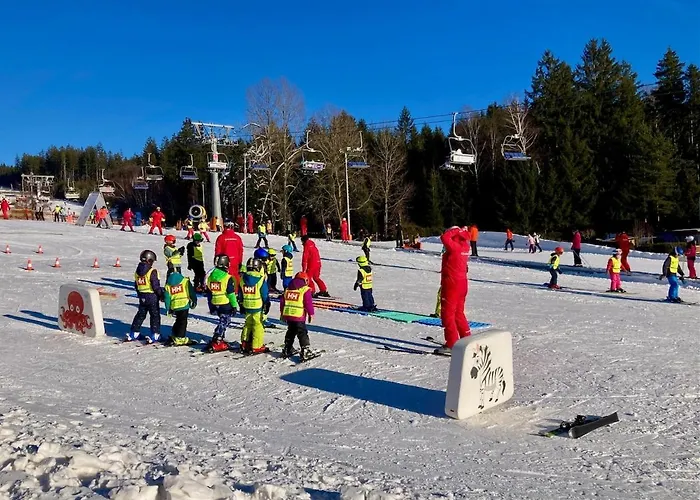 C 303 Lipno Port