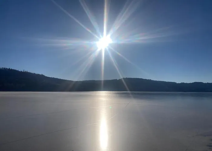 C 303 Lipno Port Lipno nad Vltavou